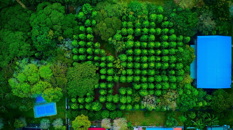 dji_photo_tb