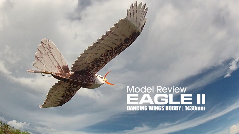 dwhobby eagle ii 1 tb