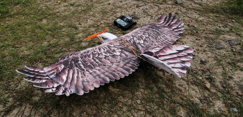 dwhobby eagle ii 80 tb